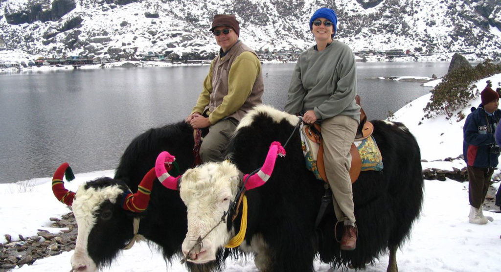 yak riding, gangtok tour plan