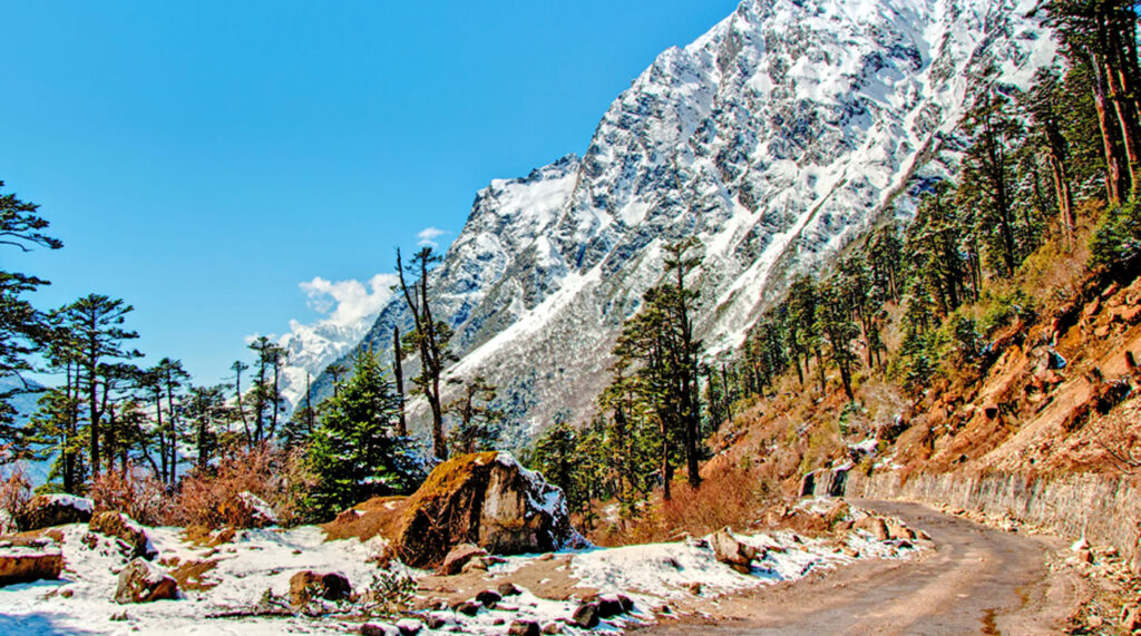 lachung tour packages