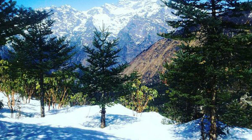 lachung tour package